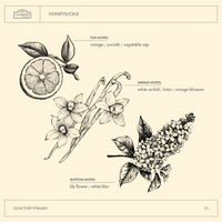 Honeysuckle Hand & Body Lotion