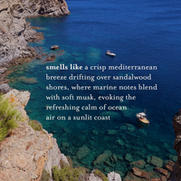 Fresh Sea Salt Hand & Body Lotion