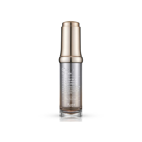 Quesera Ceramide